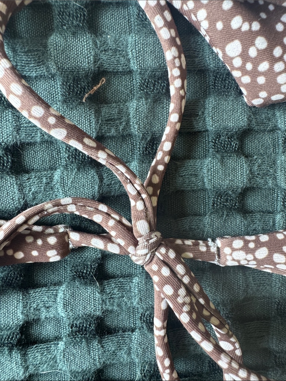 Skatie Dark Brown Micro Dot V-Waist Bikini Set - Picture 7 of 7
